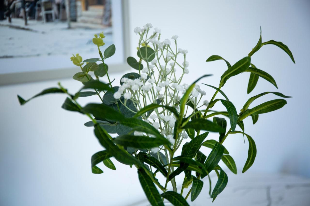 Modern Townhouse Apartment With Free Parking And Wifi ストラットフォード＝アポン＝エイボン エクステリア 写真